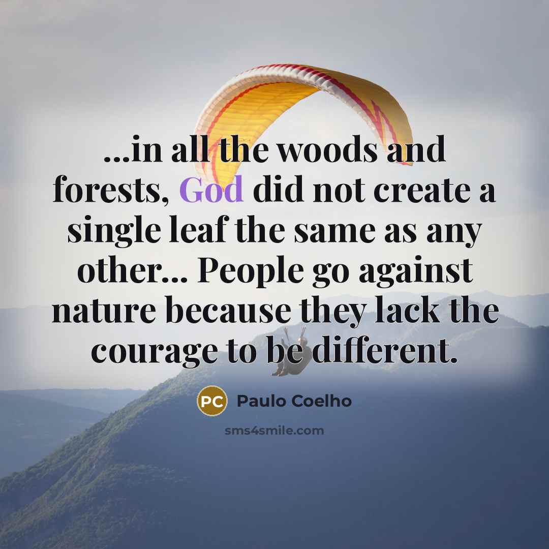 “...in all the woods and forests, God did not create…” quote by Paulo Coelho