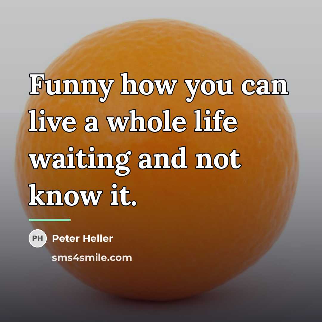 “Funny how you can live a whole life waiting and…” quote by Peter Heller