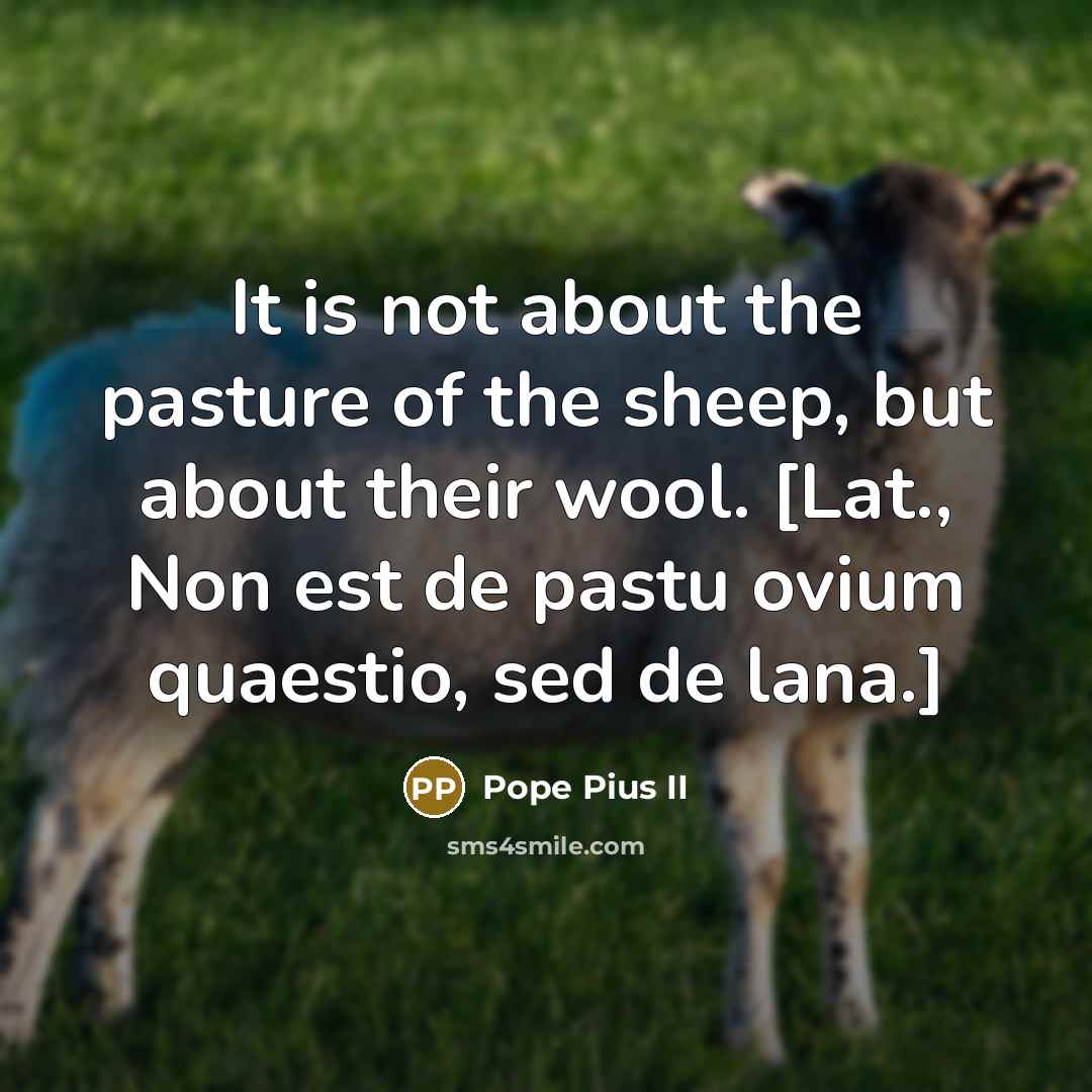 “It is not about the pasture of the sheep, but…” quote by Pope Pius II