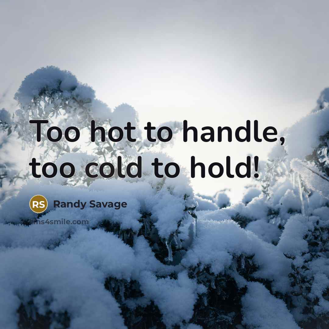 “Too hot to handle, too cold to hold!…” quote by Randy Savage