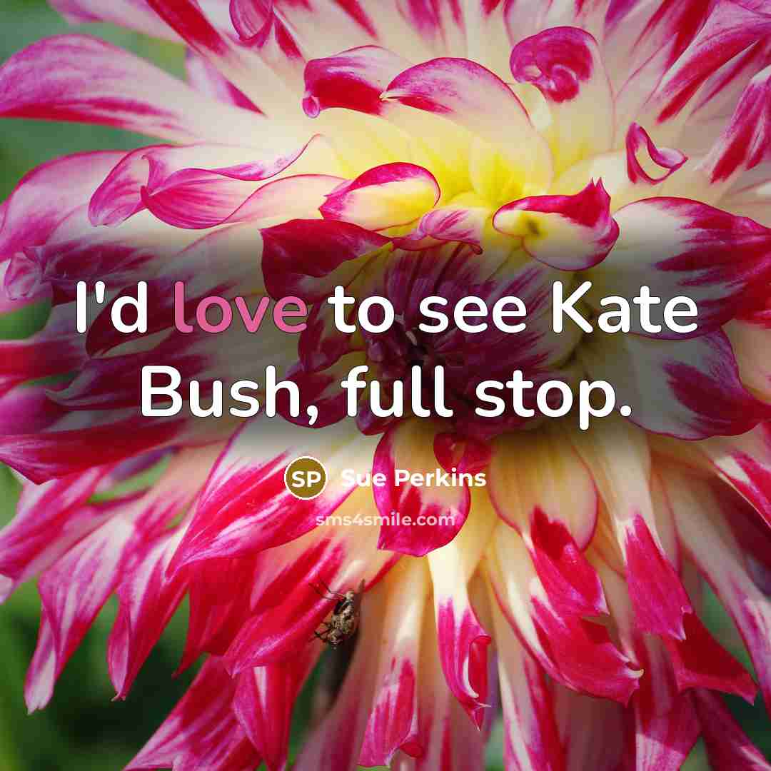 “I'd love to see Kate Bush, full stop.…” quote by Sue Perkins