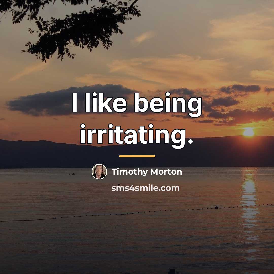 “I like being irritating.…” quote by Timothy Morton