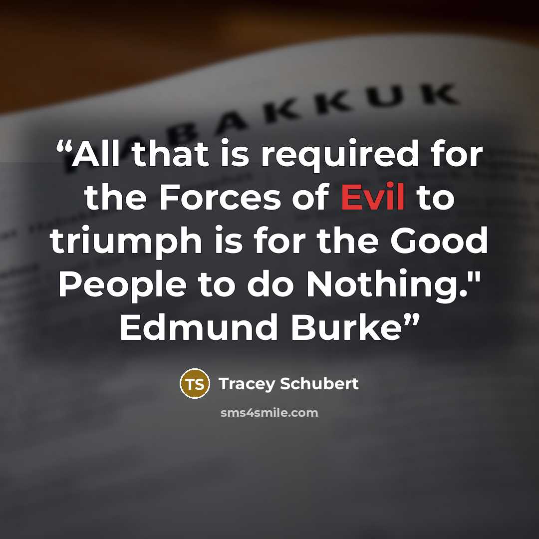 “All that is required for the Forces of Evil to triumph is for the Good People to do Nothing." Edmund Burke” quote by Tracey Schubert