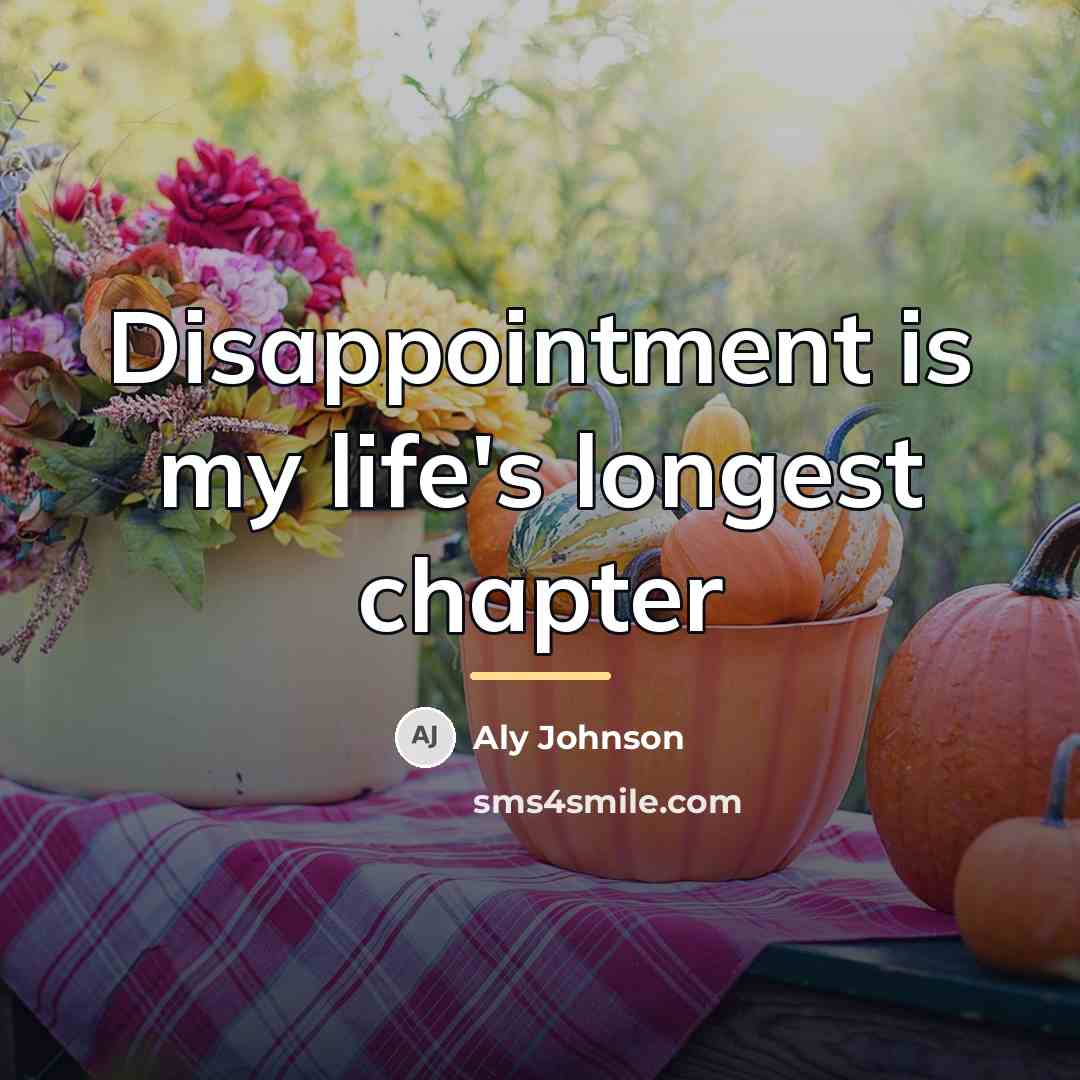 “Disappointment is my life's longest chapter…” quote by Aly Johnson