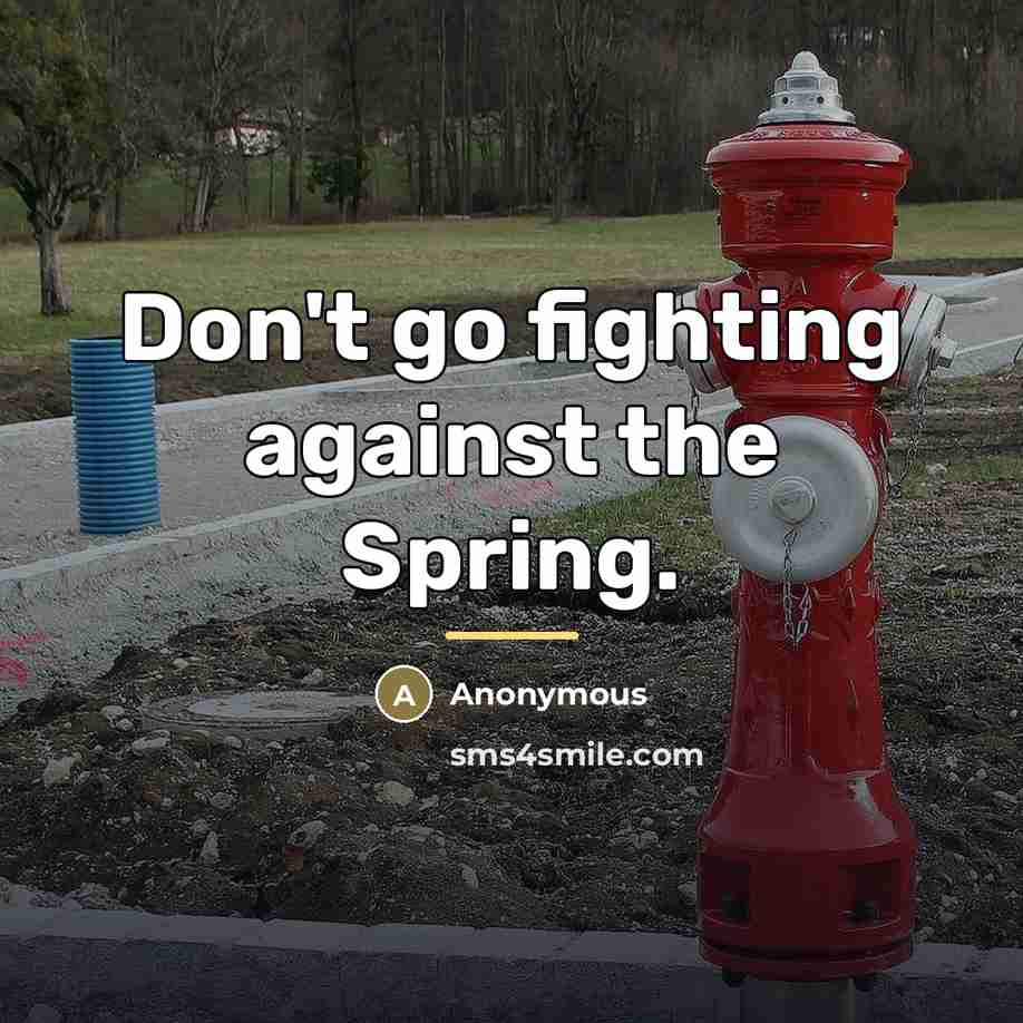 “Don't go fighting against the Spring.…” quote by Anonymous