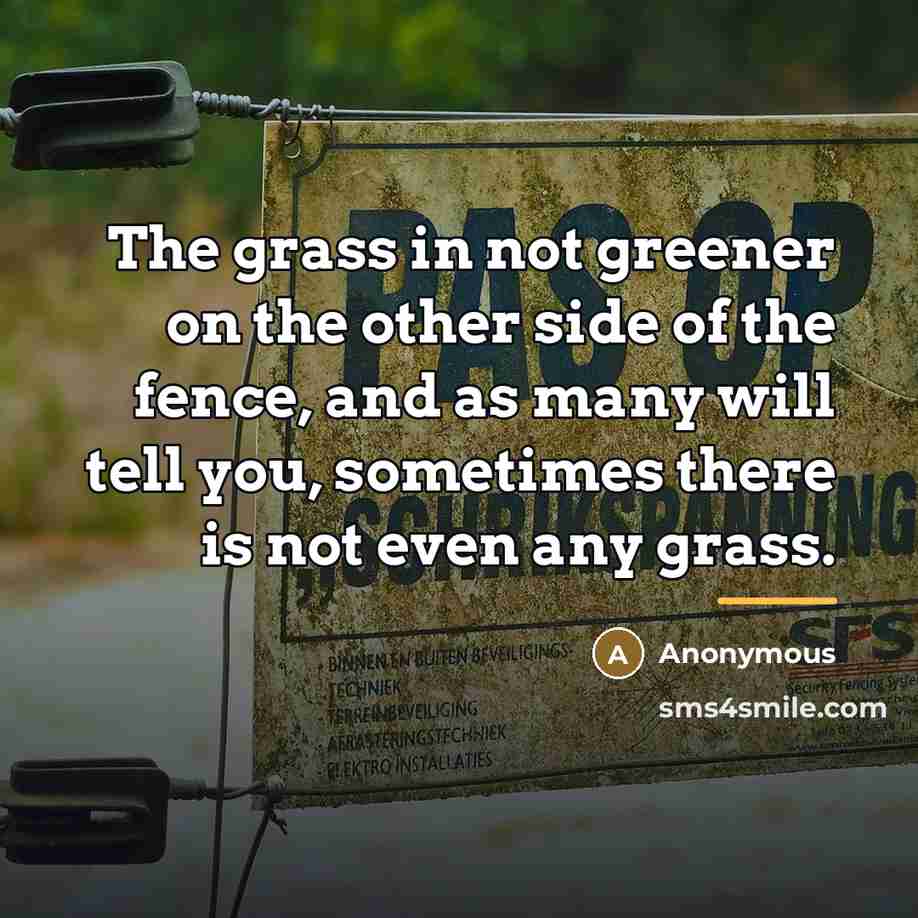 “The grass in not greener on the other side of…” quote by Anonymous