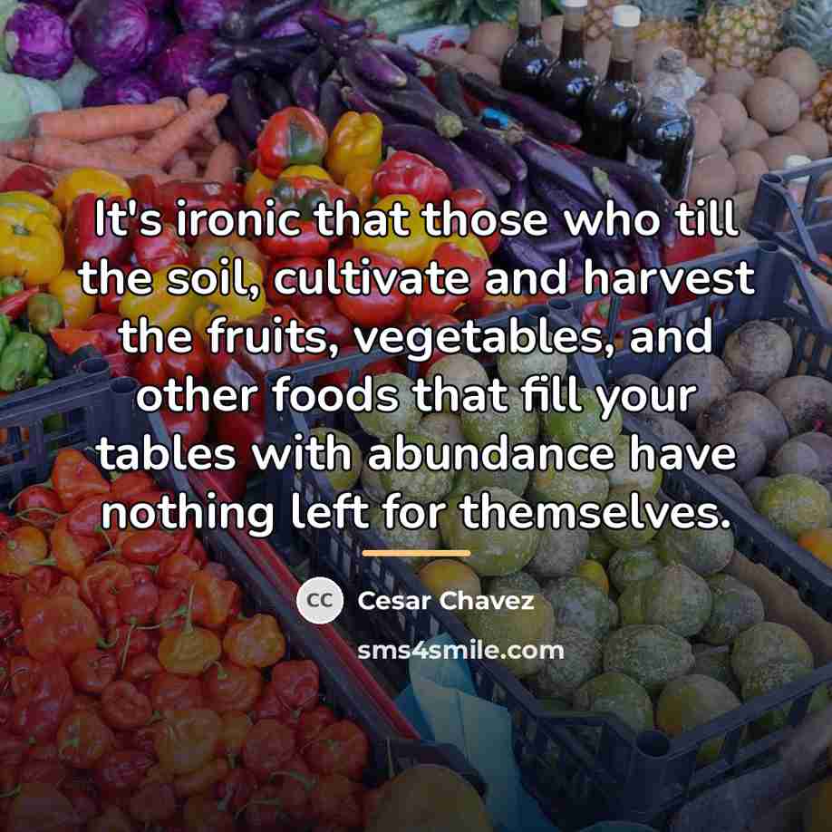 “It's ironic that those who till the soil, cultivate and…” quote by Cesar Chavez