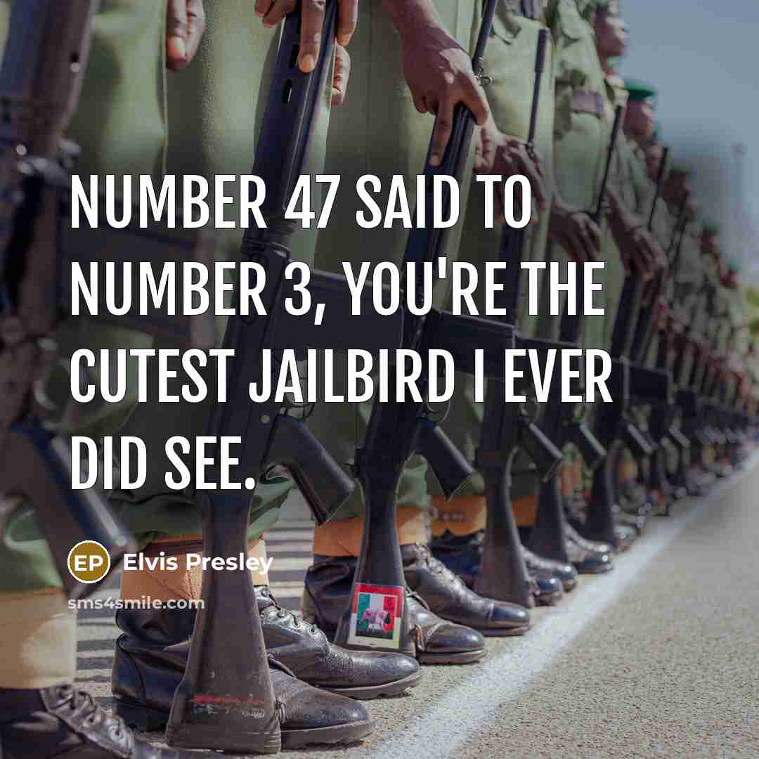 “Number 47 said to number 3, you're the cutest jailbird…” quote by Elvis Presley