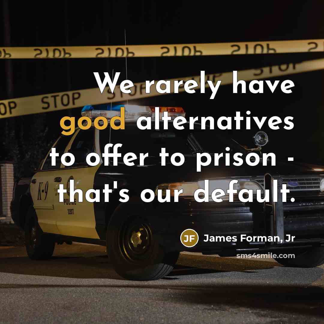 “We rarely have good alternatives to offer to prison -…” quote by James Forman, Jr