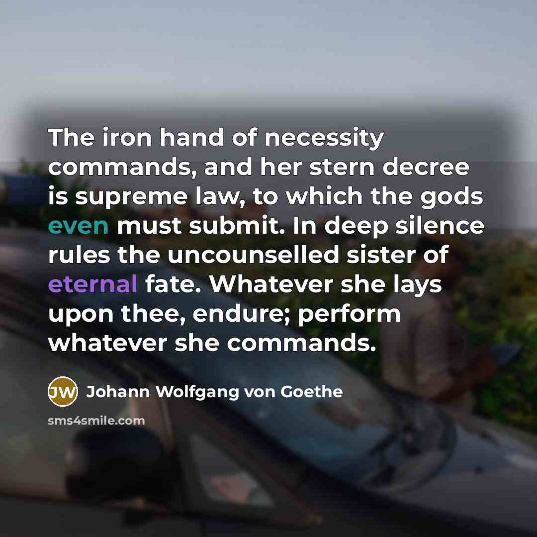 “The iron hand of necessity commands, and her stern decree…” quote by Johann Wolfgang von Goethe