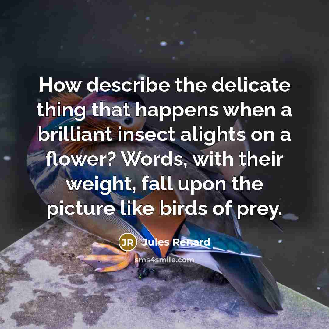“How describe the delicate thing that happens when a brilliant…” quote by Jules Renard