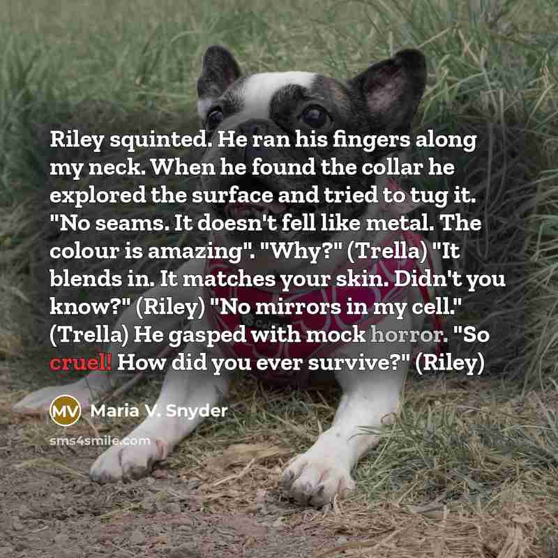 “Riley squinted. He ran his fingers along my neck. When…” quote by Maria V. Snyder