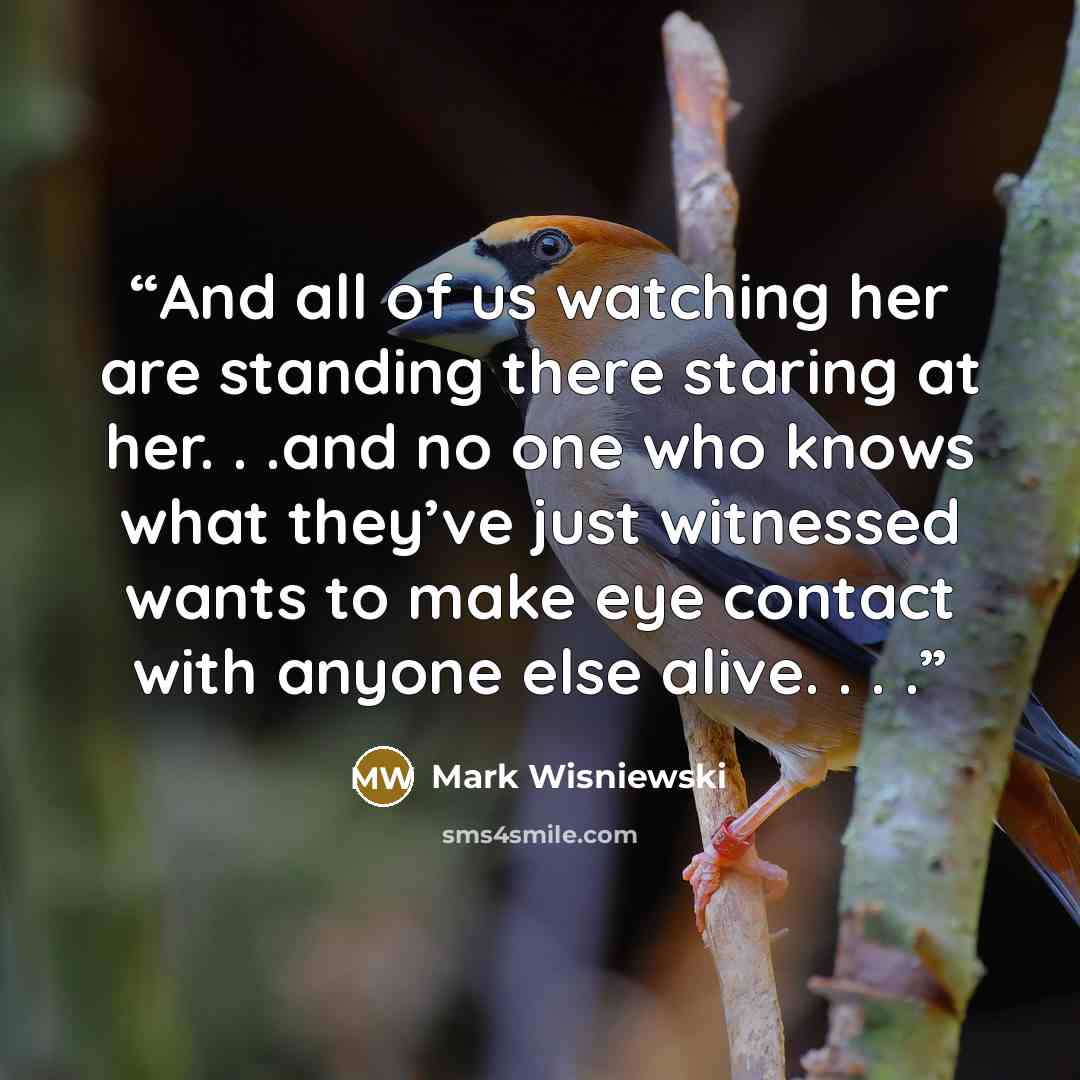 “And all of us watching her are standing there staring at her. . .and no one who knows what they’ve just witnessed wants to make eye contact with anyone else alive. . . .” quote by Mark Wisniewski