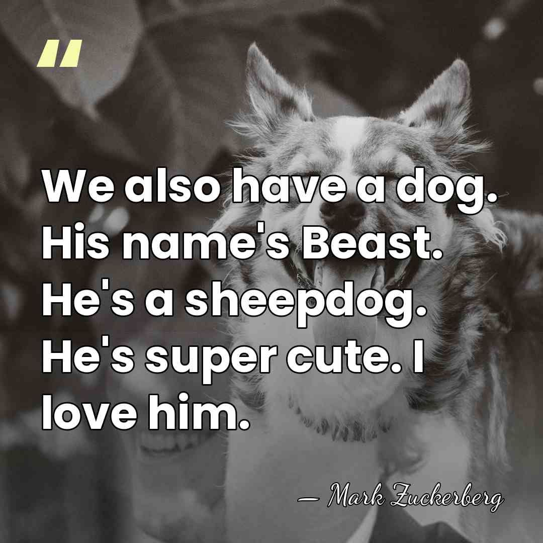 We also have a dog. His name's Beast. He's a sheepdog. He's&hellip; - Mark Zuckerberg