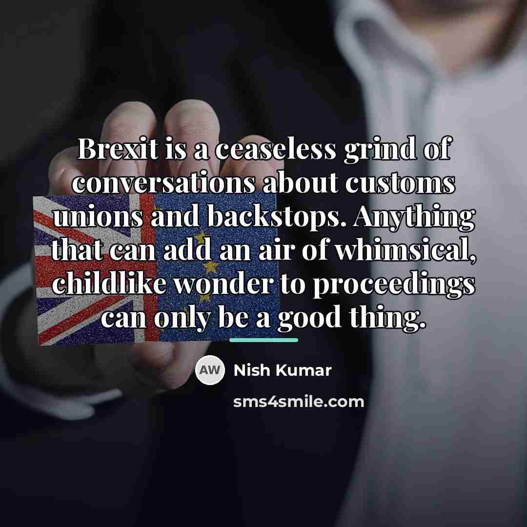 “Brexit is a ceaseless grind of conversations about customs unions…” quote by Nish Kumar