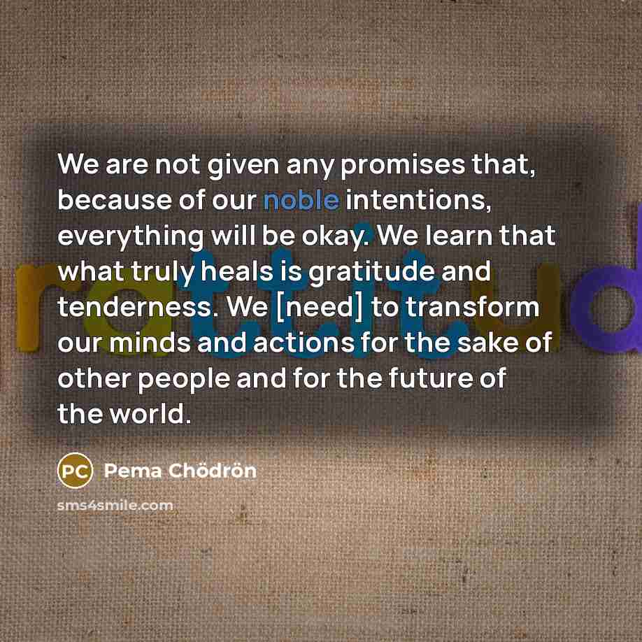“We are not given any promises that, because of our…” quote by Pema Chodron