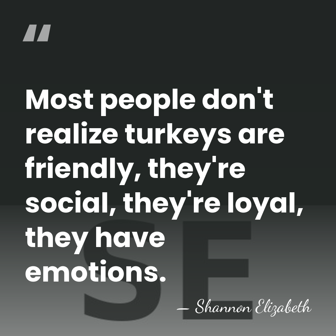 Most people don't realize turkeys are friendly, they're social, they're loyal, they&hellip; - Shannon Elizabeth