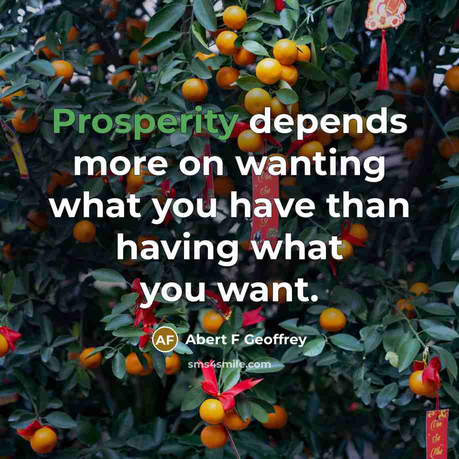 “Prosperity depends more on wanting what you have than having what you want.” quote by Abert F Geoffrey