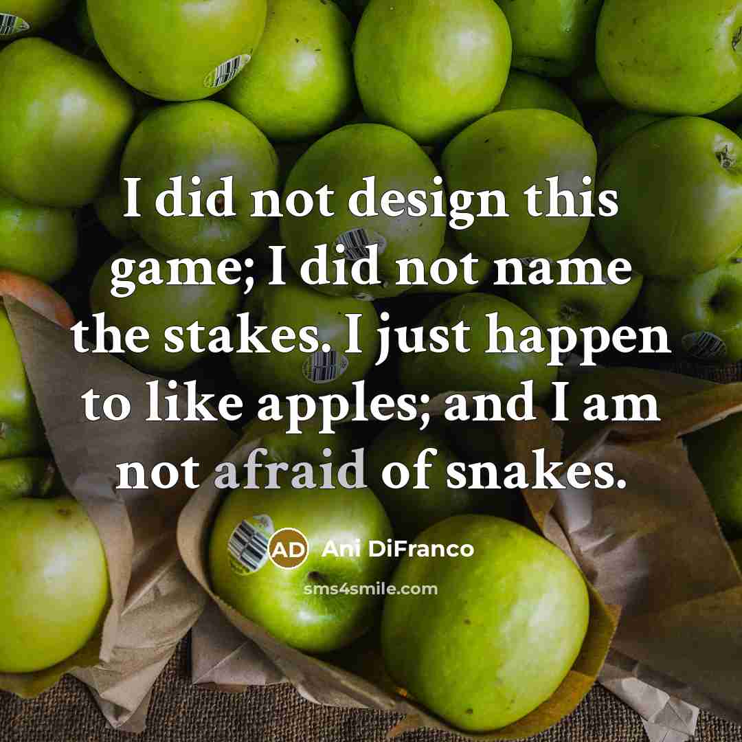 “I did not design this game; I did not name…” quote by Ani DiFranco