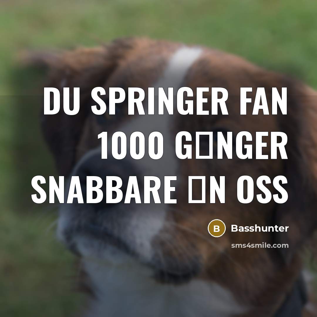 “Du springer fan 1000 g�nger snabbare �n oss” quote by Basshunter