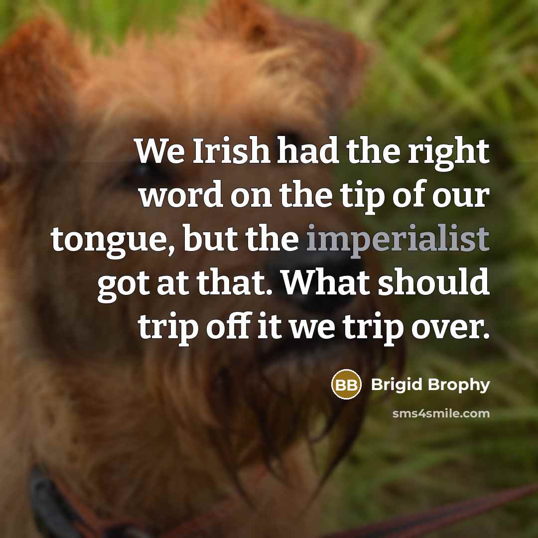 “We Irish had the right word on the tip of our tongue, but the imperialist got at that. What should trip off it we trip over.” quote by Brigid Brophy