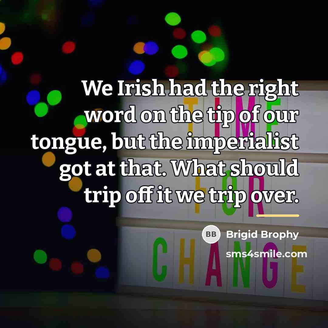 “We Irish had the right word on the tip of…” quote by Brigid Brophy