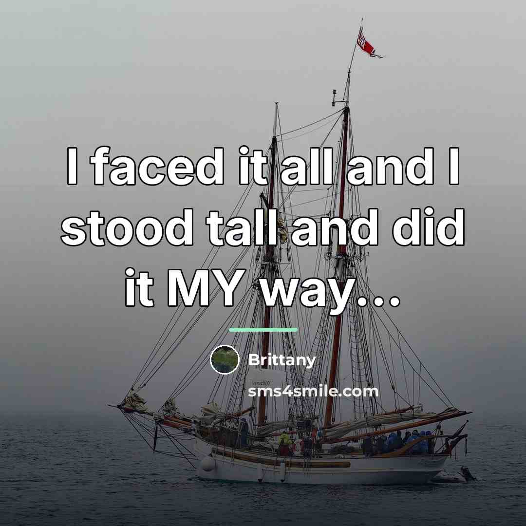 “I faced it all and I stood tall and did…” quote by Brittany