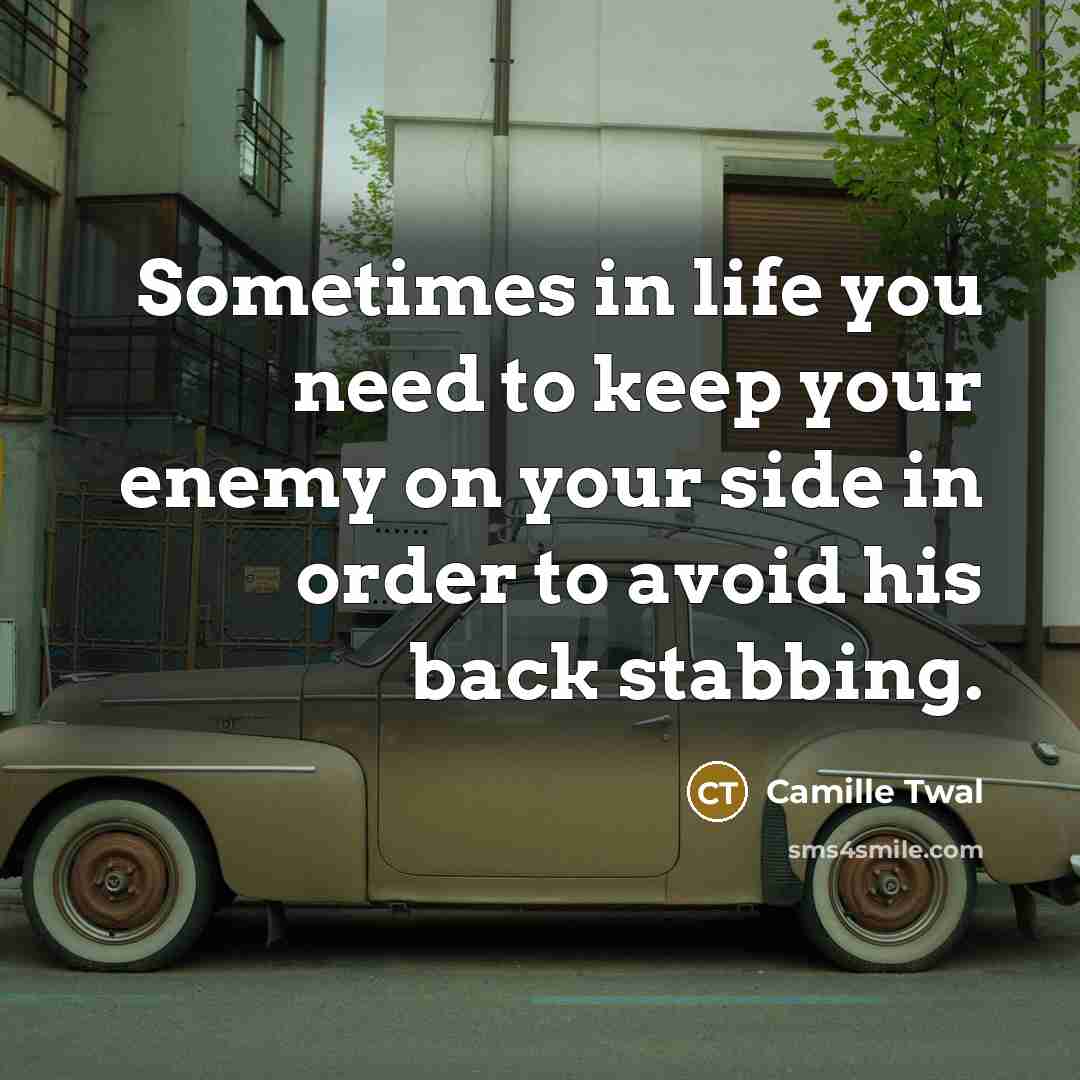 “Sometimes in life you need to keep your enemy on your side in order to avoid his back stabbing.” quote by Camille Twal