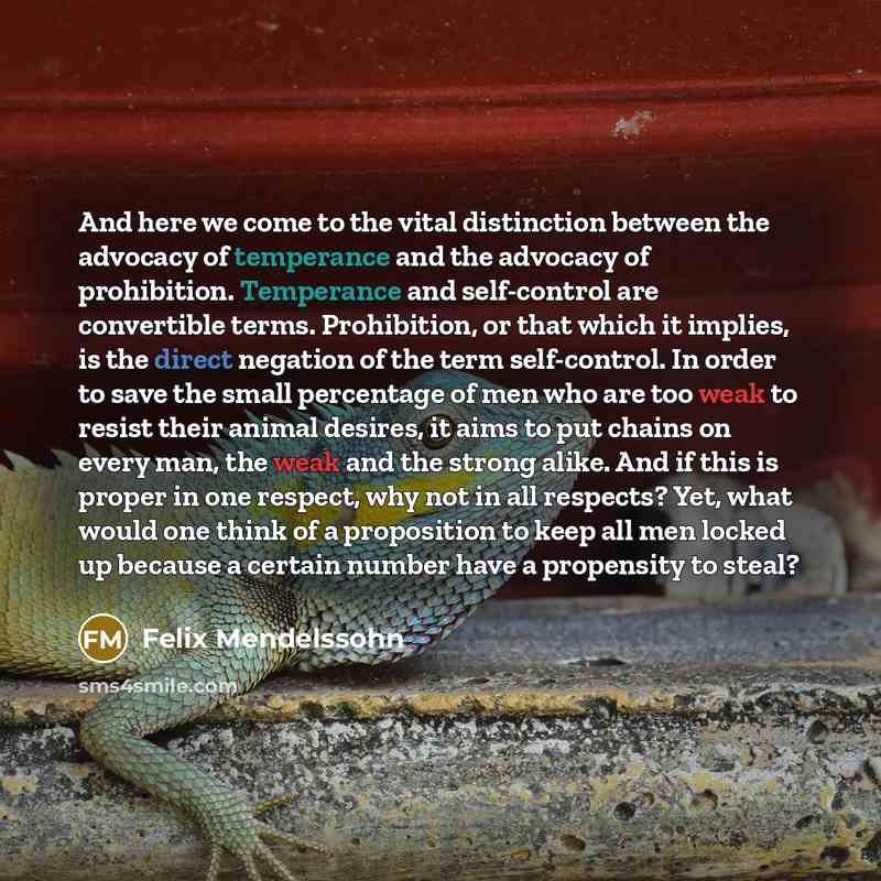 “And here we come to the vital distinction between the…” quote by Felix Mendelssohn