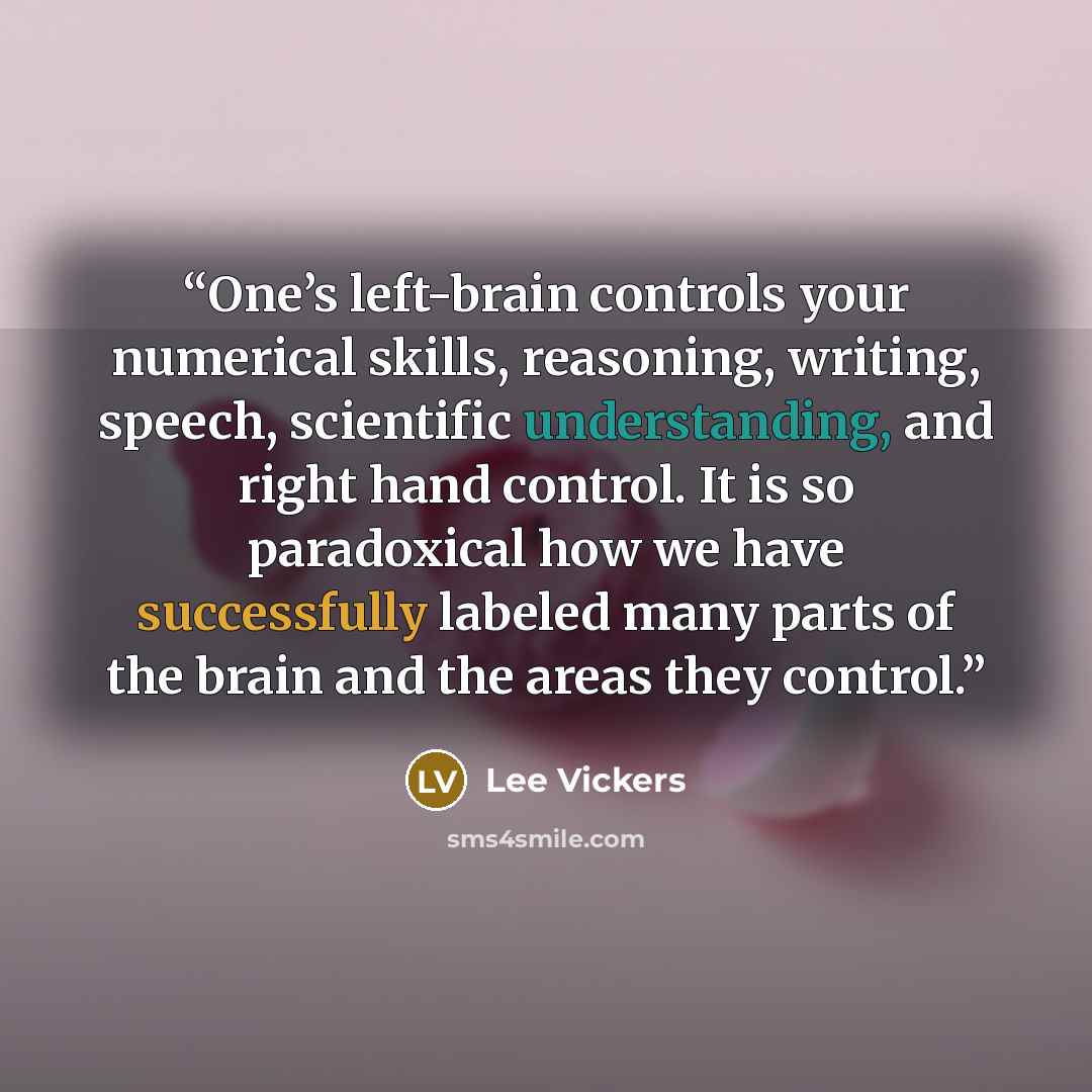 “One’s left-brain controls your numerical skills, reasoning, writing, speech, scientific understanding, and right hand control. It is so paradoxical how we have successfully labeled many parts of the brain and the areas they control.” quote by Lee Vickers