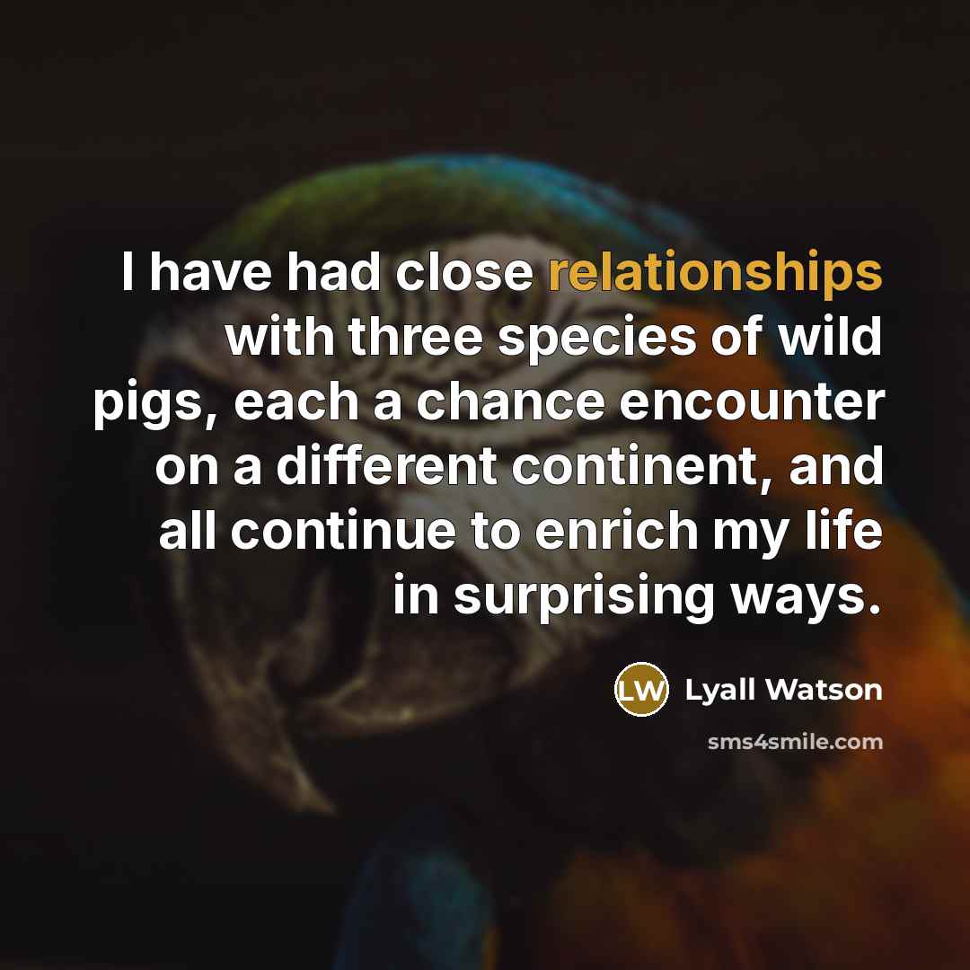 “I have had close relationships with three species of wild pigs, each a chance encounter on a different continent, and all continue to enrich my life in surprising ways.” quote by Lyall Watson