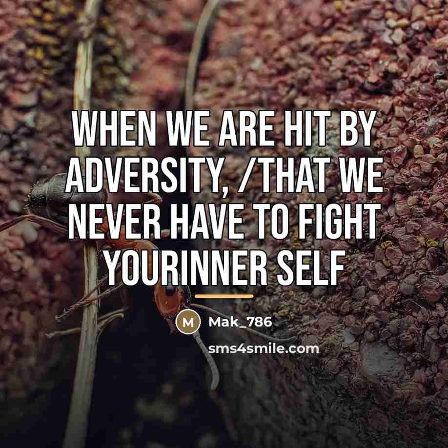 “When we are hit by adversity, /that we never have…” quote by Mak_786