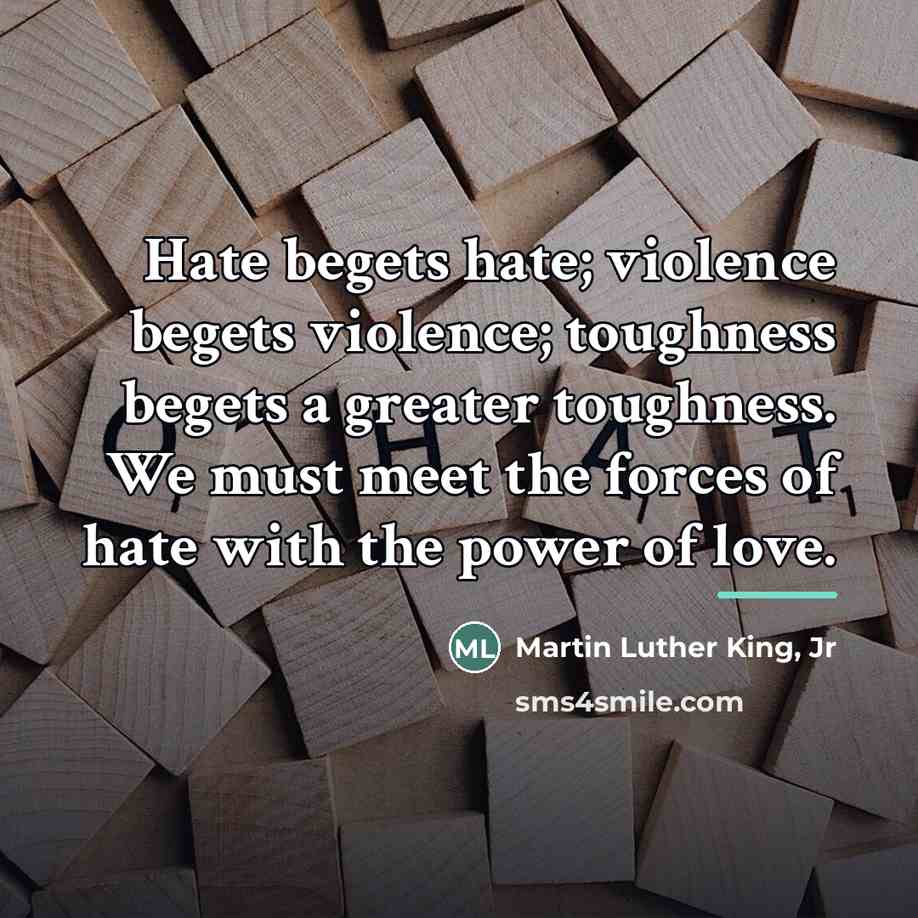“Hate begets hate; violence begets violence; toughness begets a greater…” quote by Martin Luther King, Jr
