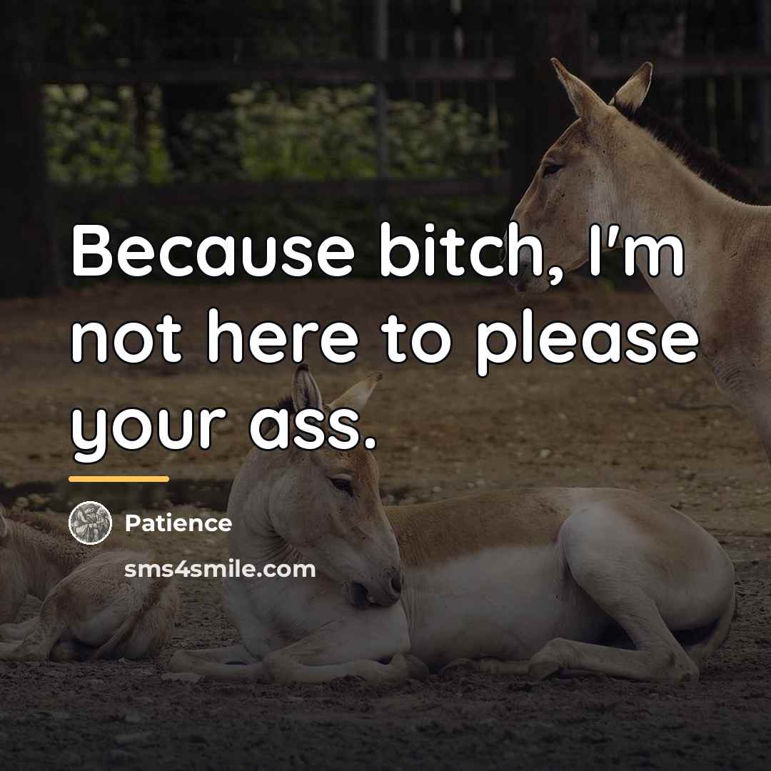 “Because bitch, I'm not here to please your ass.…” quote by Patience
