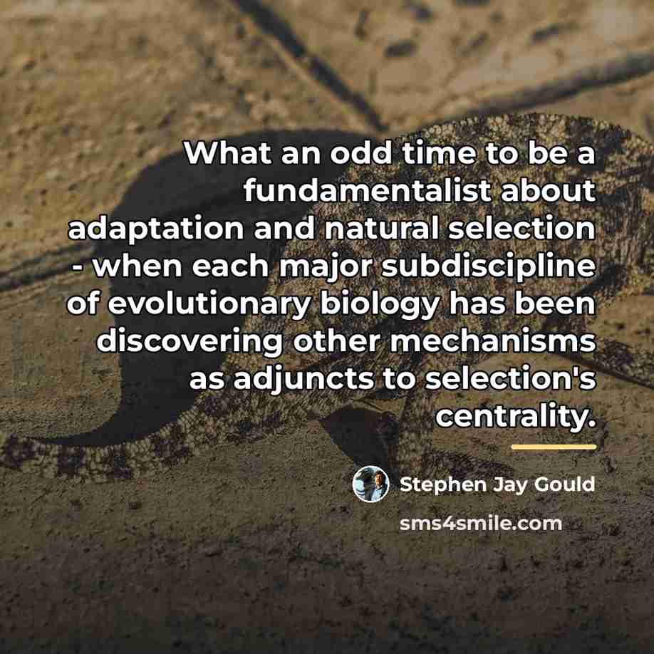 “What an odd time to be a fundamentalist about adaptation…” quote by Stephen Jay Gould