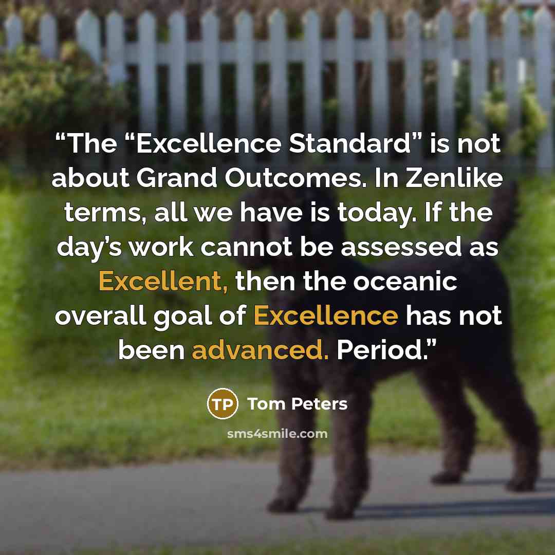 “The “Excellence Standard” is not about Grand Outcomes. In Zenlike terms, all we have is today. If the day’s work cannot be assessed as Excellent, then the oceanic overall goal of Excellence has not been advanced. Period.” quote by Tom Peters