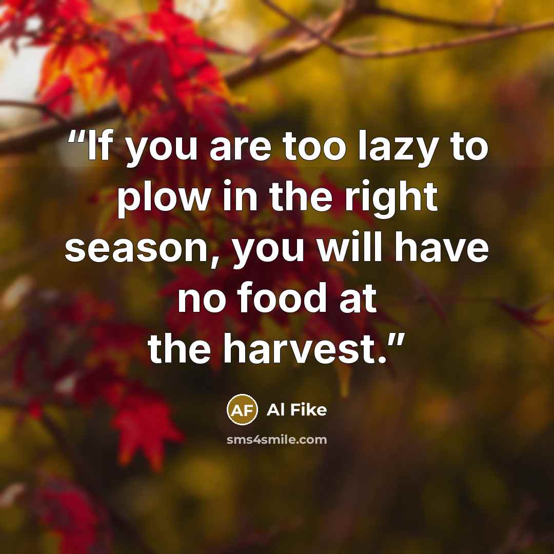 “If you are too lazy to plow in the right season, you will have no food at the harvest.” quote by Al Fike