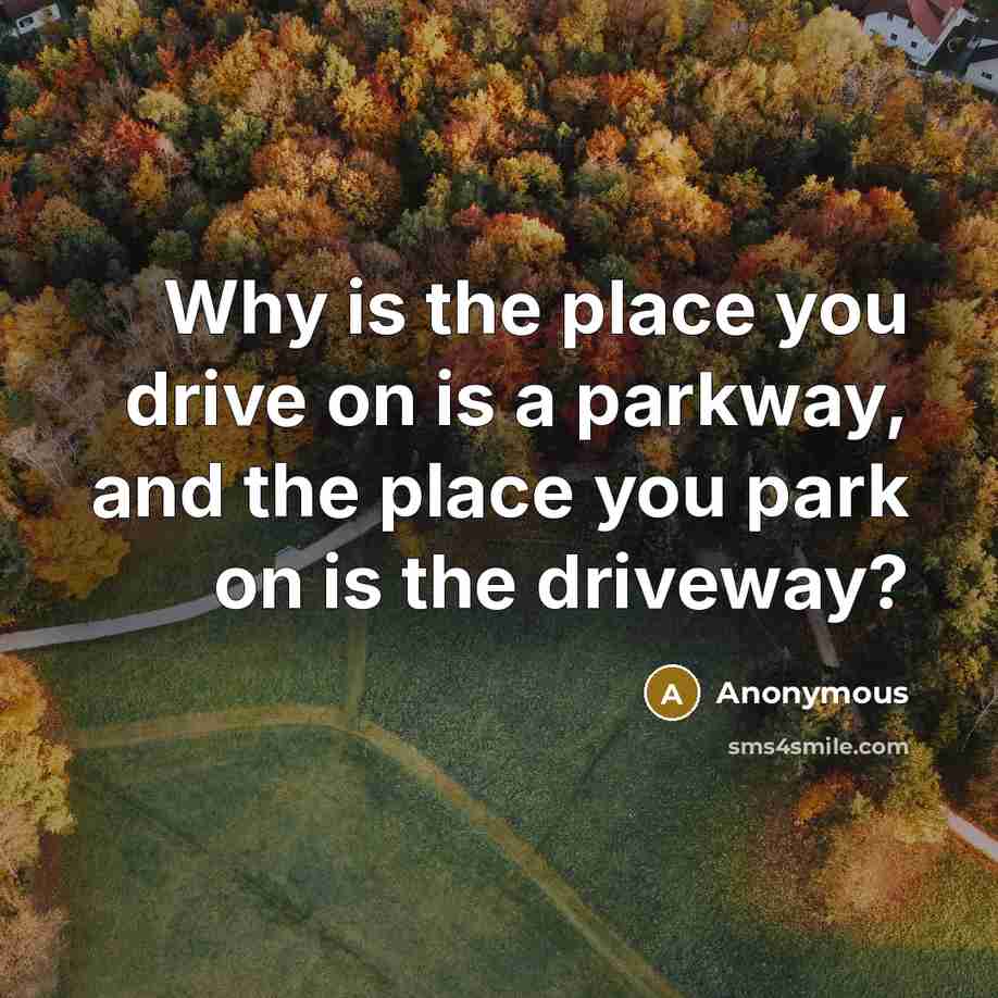“Why is the place you drive on is a parkway, and the place you park on is the driveway?” quote by Anonymous