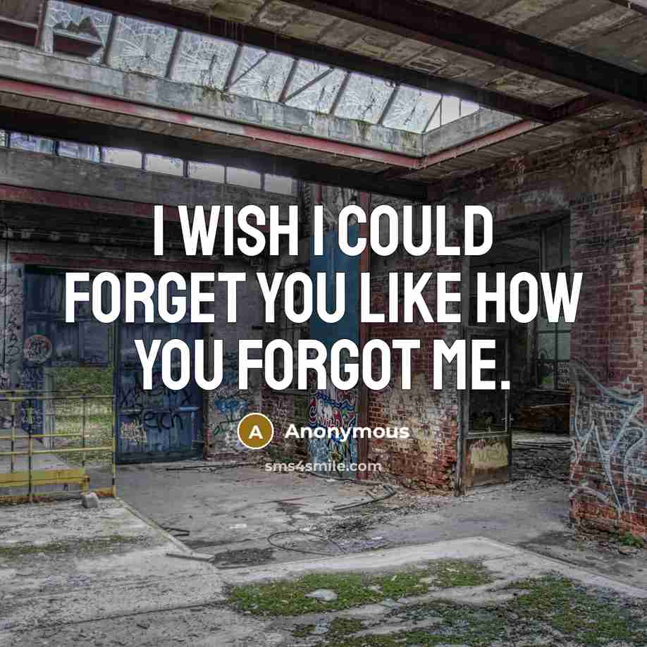 “I wish I could forget you like how you forgot…” quote by Anonymous