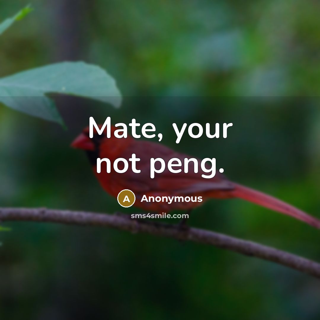 “Mate, your not peng.” quote by Anonymous