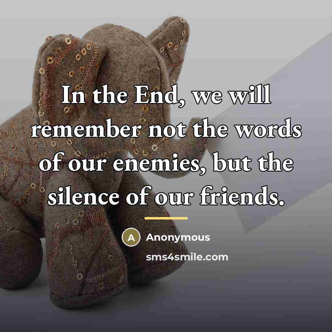 “In the End, we will remember not the words of…” quote by Anonymous