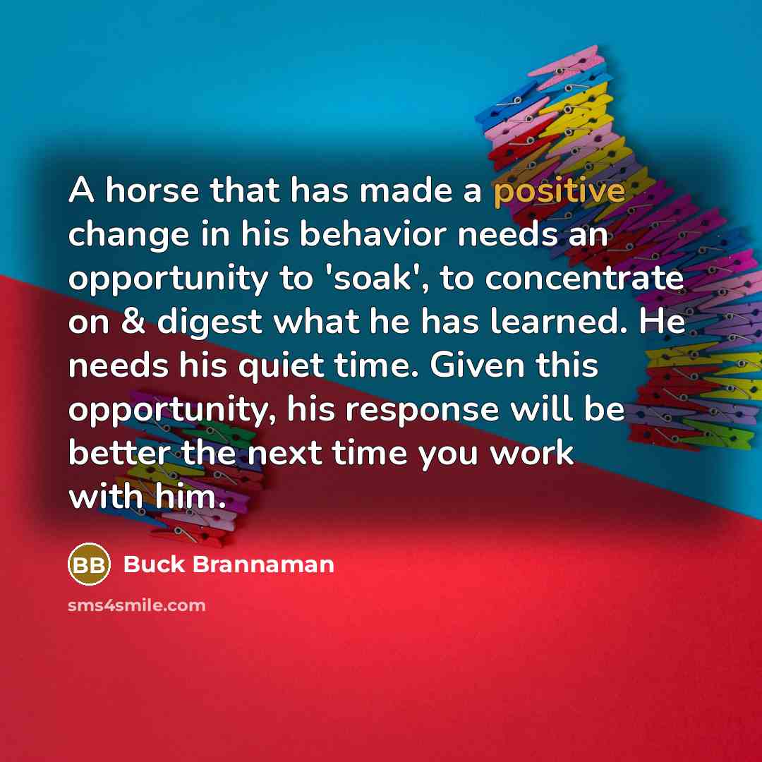 “A horse that has made a positive change in his…” quote by Buck Brannaman