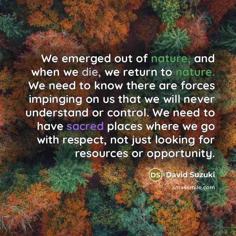 “We emerged out of nature, and when we die, we…” quote by David Suzuki