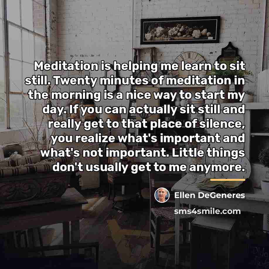 “Meditation is helping me learn to sit still. Twenty minutes…” quote by Ellen DeGeneres