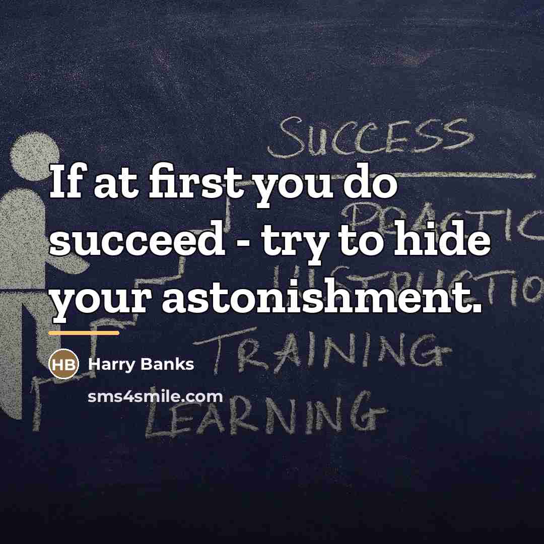 “If at first you do succeed - try to hide…” quote by Harry Banks