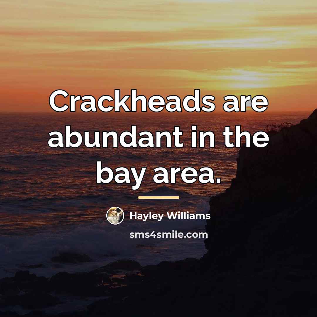 “Crackheads are abundant in the bay area.…” quote by Hayley Williams