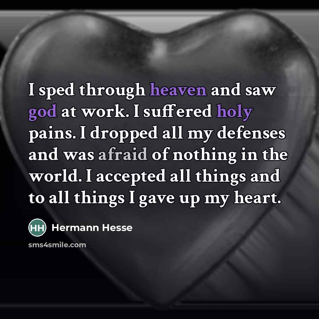“I sped through heaven and saw god at work. I…” quote by Hermann Hesse
