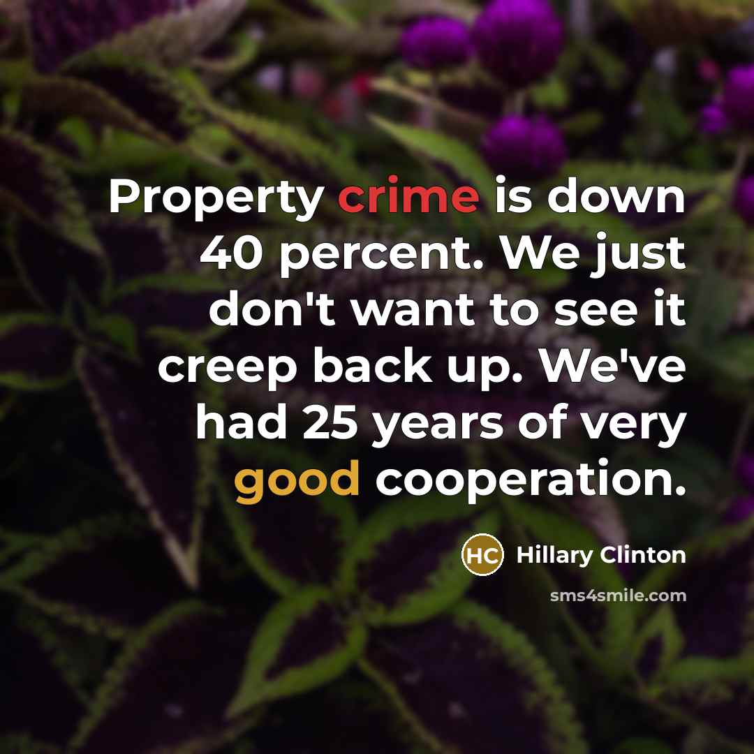 “Property crime is down 40 percent. We just don't want…” quote by Hillary Clinton