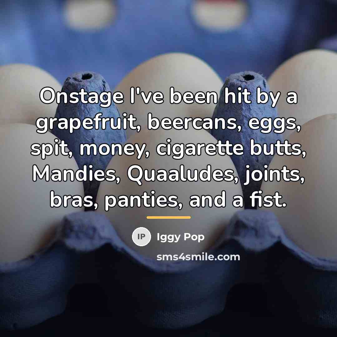 “Onstage I've been hit by a grapefruit, beercans, eggs, spit,…” quote by Iggy Pop