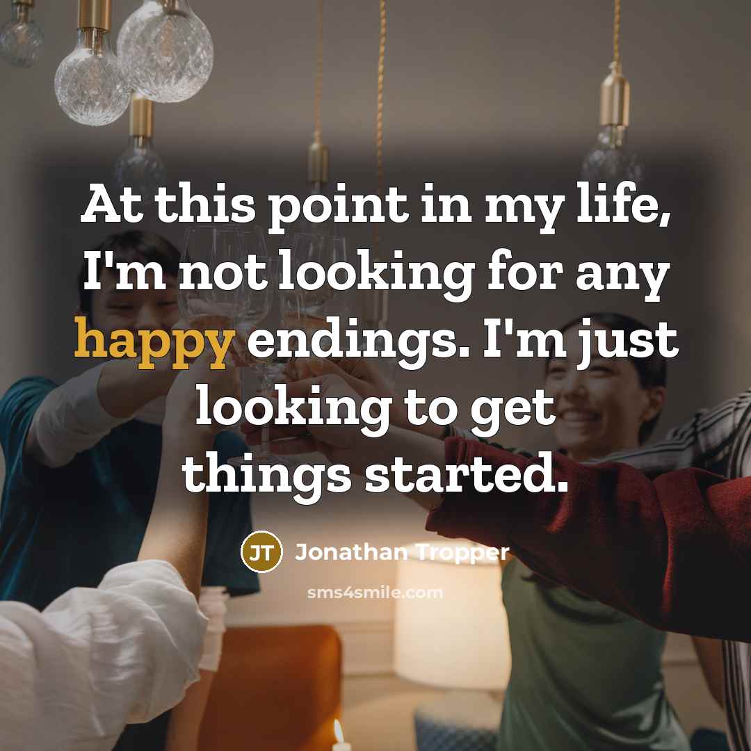 “At this point in my life, I'm not looking for…” quote by Jonathan Tropper